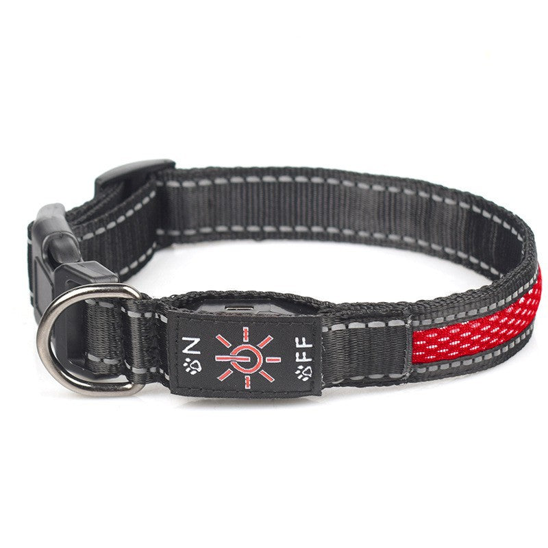 LED Light-Up Waterproof Dog Collar with USB-C Charging