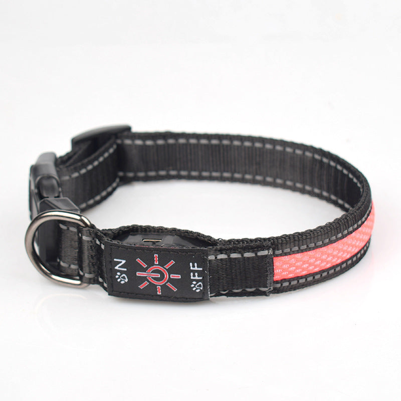 LED Light-Up Waterproof Dog Collar with USB-C Charging