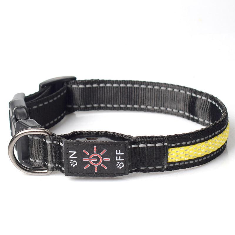 LED Light-Up Waterproof Dog Collar with USB-C Charging