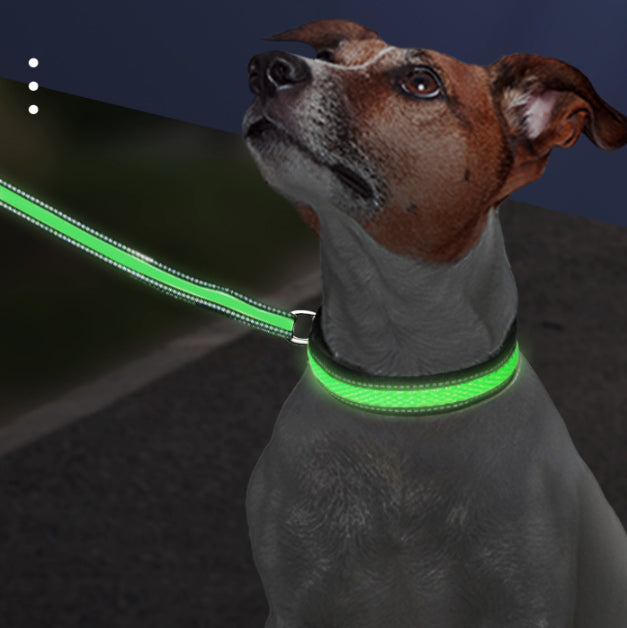 LED Light-Up Waterproof Dog Collar with USB-C Charging