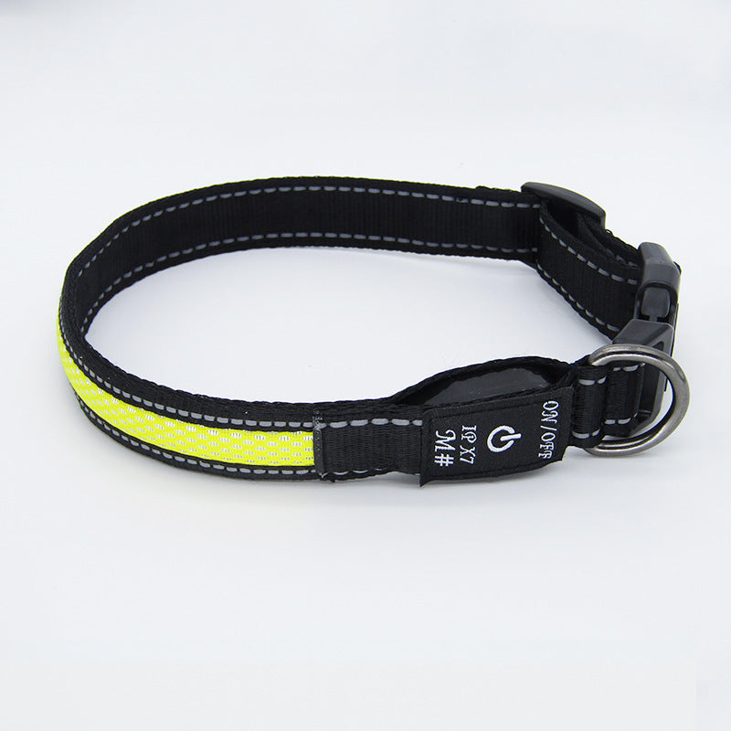 LED Light-Up Waterproof Dog Collar with USB-C Charging