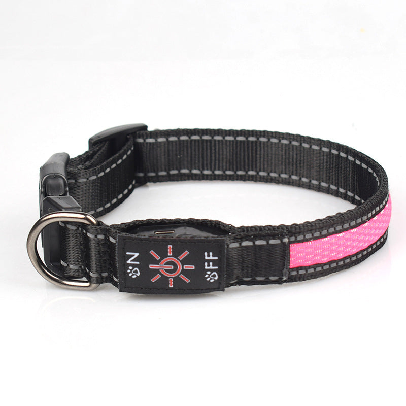 LED Light-Up Waterproof Dog Collar with USB-C Charging