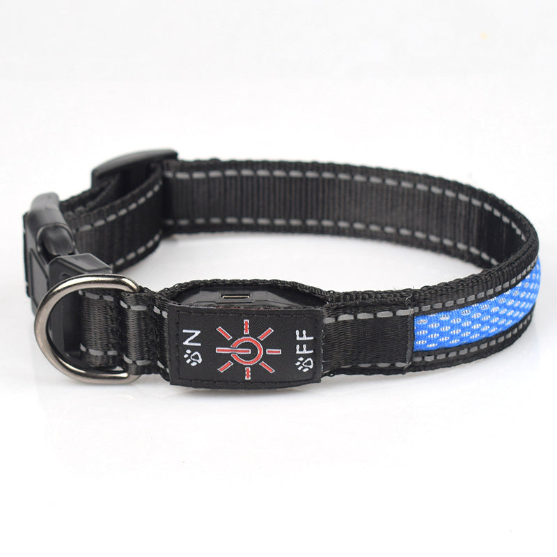 LED Light-Up Waterproof Dog Collar with USB-C Charging