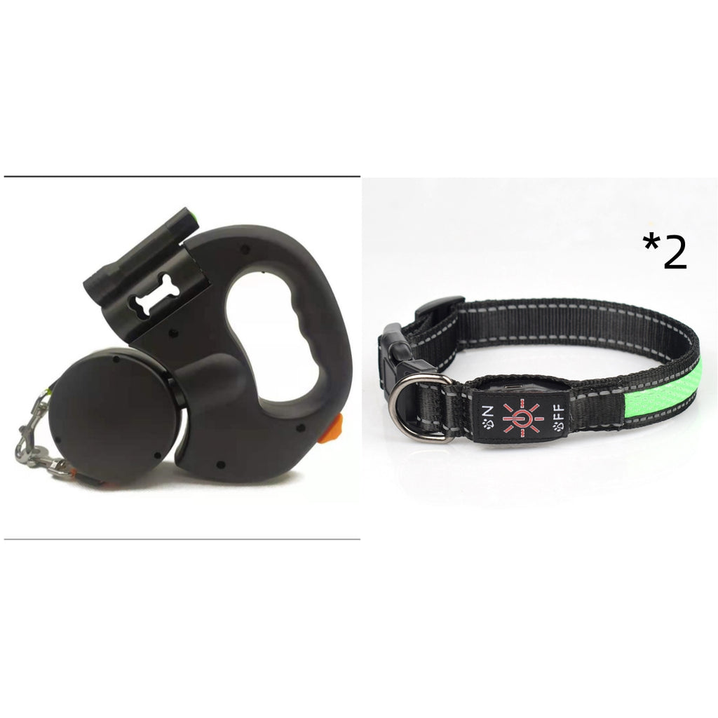 LED Light-Up Waterproof Dog Collar with USB-C Charging
