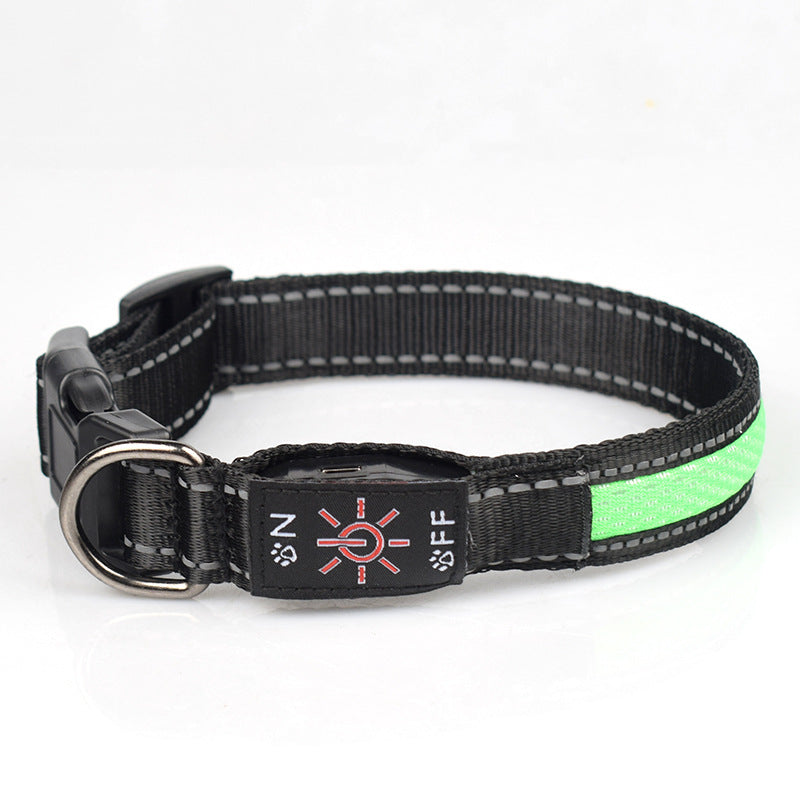 LED Light-Up Waterproof Dog Collar with USB-C Charging